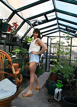 Hairy pussied Vixen decides a greenhouse is a perfect place to play