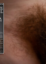 A hairy old and young sexdate that turns into hard anal sex